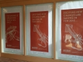 Interior Window Graphics